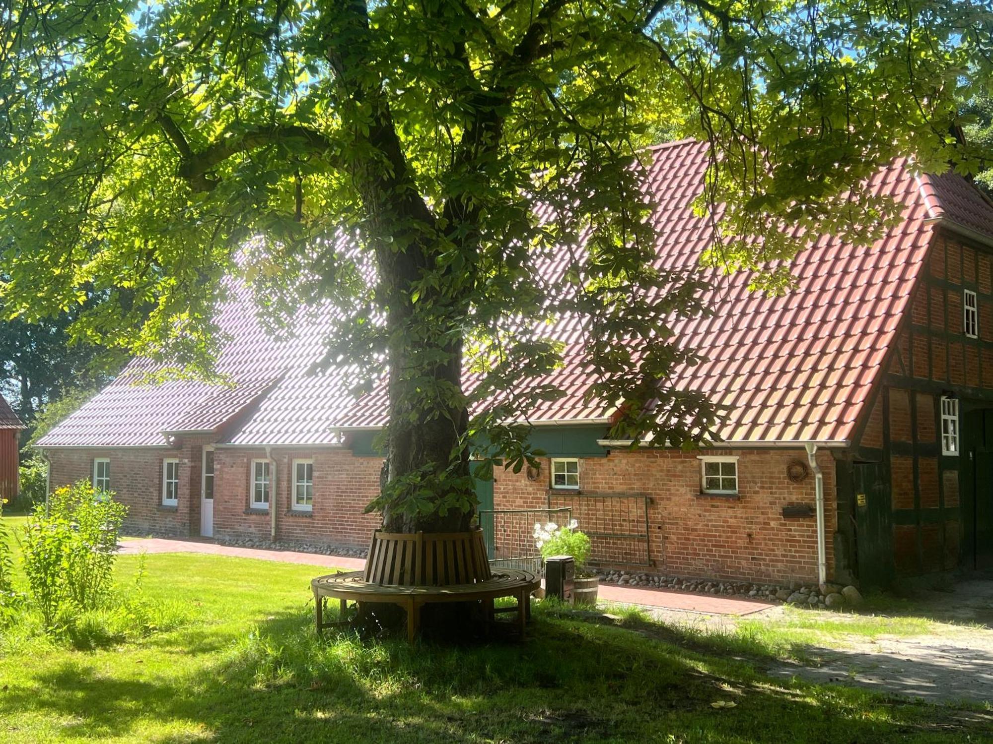 Ferienwohnung Mit Garten In Meyenburg - Keine Monteure Schwanewede Exterior photo